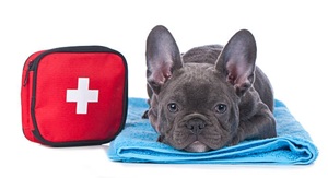 Urgent Care