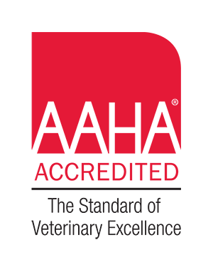 AAHA Badge